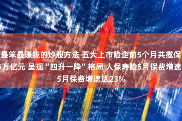 最笨最赚钱的炒股方法 五大上市险企前5个月共揽保费1.46万亿元 呈现“四升一降”格局 人保寿险5月保费增速达23%